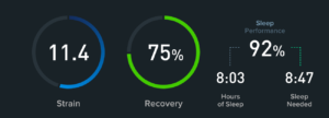 whoop strain recovery sleep